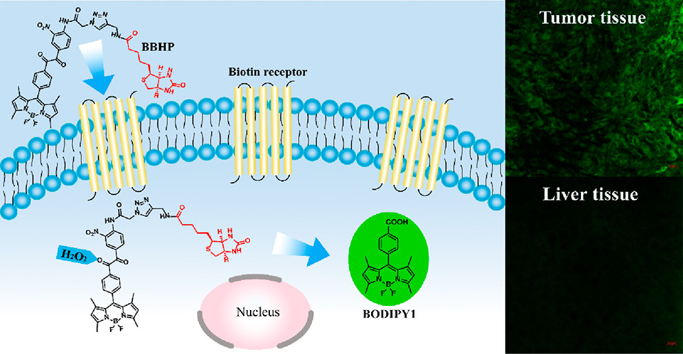 images_large_ac2c00400_0011.jpeg images_large_ac2c00400_0011.jpeg