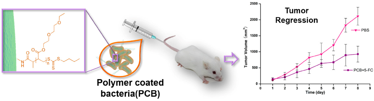 ap1c01760_0008.jpeg ap1c01760_0008.jpeg